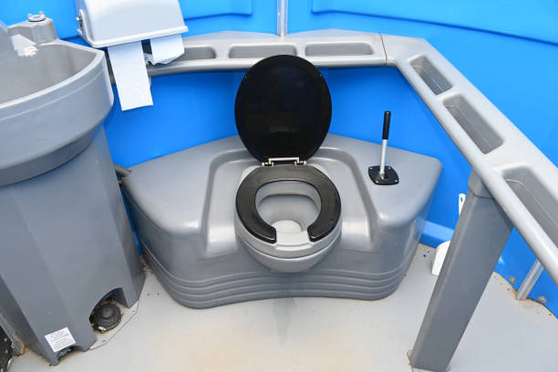 Best Sanitation services for porta potties  in Buhl, MN